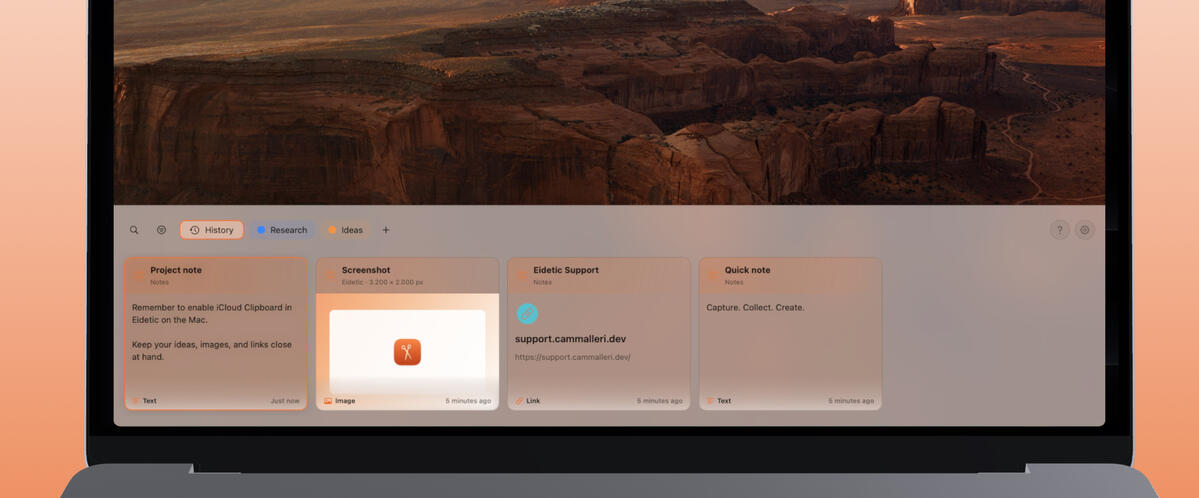 Eidetic - Screenshot Settings The Eidetic Screenshot Settings