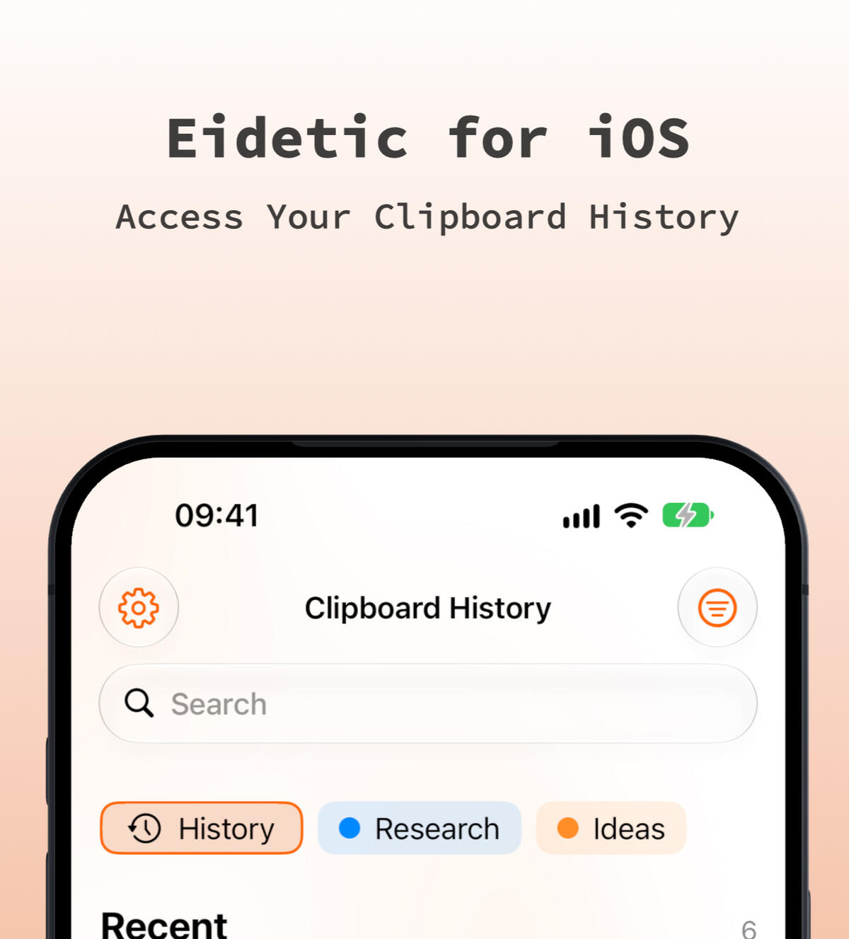 Eidetic - Clip Settings Pane The Eidetic Clip Settings